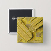 Pappsikel Button (Vorne & Hinten)