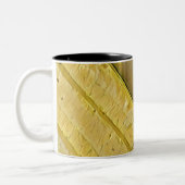 Pappsikel Zweifarbige Tasse (Links)