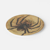 🕷️ PAPPTELLER (Schrägansicht)