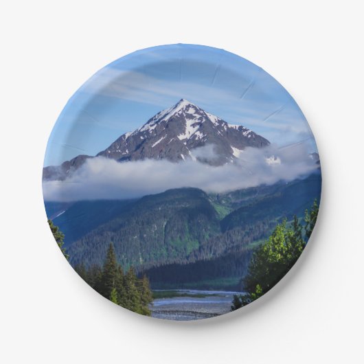 * PAPPTELLER (Vorderseite)