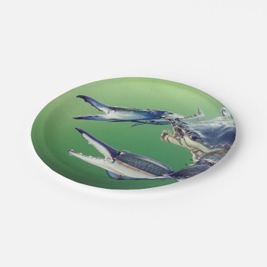 Pappteller mit großer blauer Krabbe (Schrägansicht)