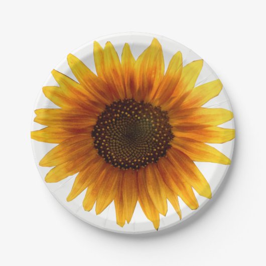 Pappteller Sonnenblumen (Vorderseite)