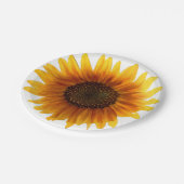 Pappteller Sonnenblumen (Schrägansicht)
