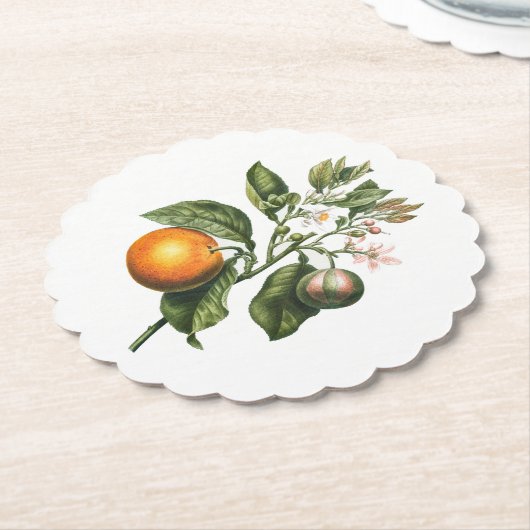 Pappuntersetzer: BITTER ORANGE BLOSSOM Untersetzer (angewinkelt)