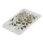 Paprika 4 magnet (Linke Seite)