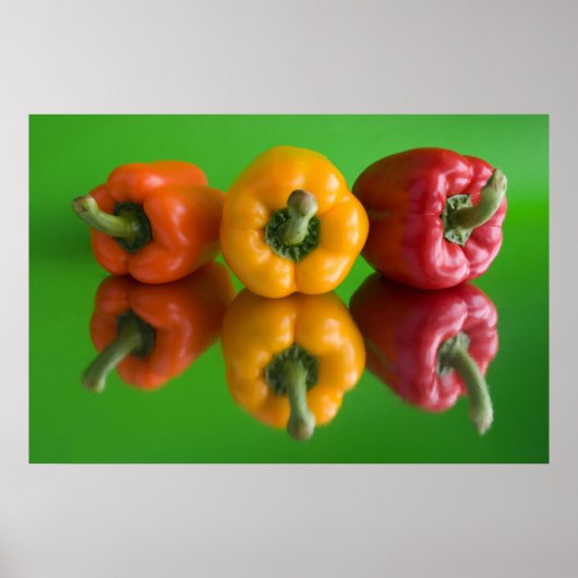 Paprika Poster (Vorne)