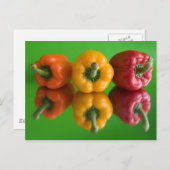 Paprika Postkarte (Vorne/Hinten)