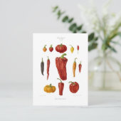 Paprika Postkarte (Stehend Vorderseite)