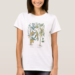 Paprikaschoten: 1.Piper Indicum filiquis flavis; T-Shirt