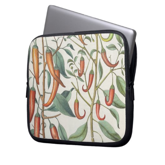Paprikaschoten: 1.Piper Indicum Maximum longum; Laptopschutzhülle (Vorderseite Links)