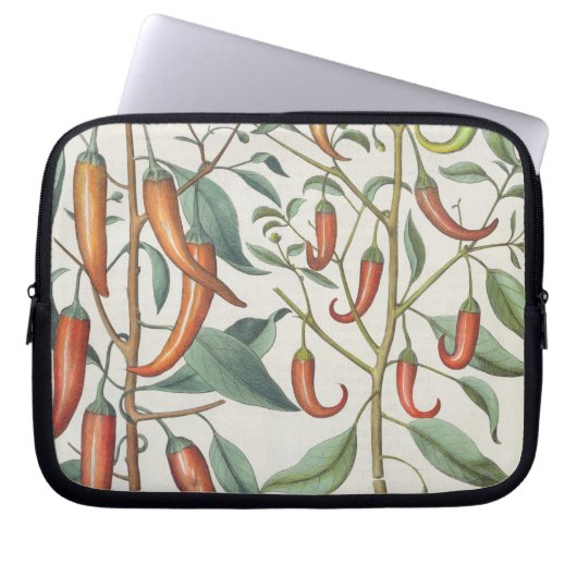 Paprikaschoten: 1.Piper Indicum Maximum longum; Laptopschutzhülle (Vorderseite)