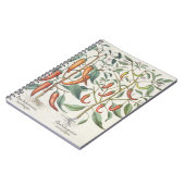 Paprikaschoten: 1.Piper Indicum Maximum longum; Notizblock (Linke Seite)