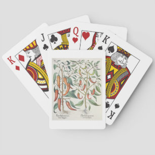 Paprikaschoten: 1.Piper Indicum Maximum longum; Spielkarten