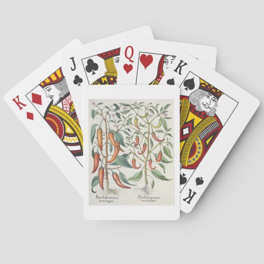 Paprikaschoten: 1.Piper Indicum Maximum longum; Spielkarten (Rückseite)