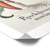 Paprikaschoten: 1.Piper-indikatives Langleinenmaxi Poster (Ecke)
