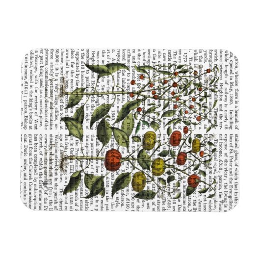 PAPRIKASCHOTEN 4 MAGNET (Horizontal)