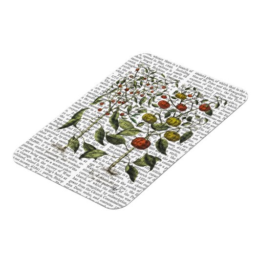 PAPRIKASCHOTEN 4 MAGNET (Linke Seite)