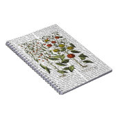 PAPRIKASCHOTEN 4 NOTIZBLOCK (Rechte Seite)