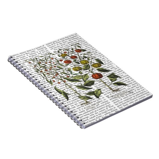 PAPRIKASCHOTEN 4 NOTIZBLOCK (Rechte Seite)