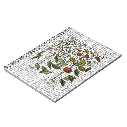 PAPRIKASCHOTEN 4 NOTIZBLOCK (Linke Seite)