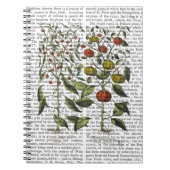 PAPRIKASCHOTEN 4 NOTIZBLOCK (Vorderseite)