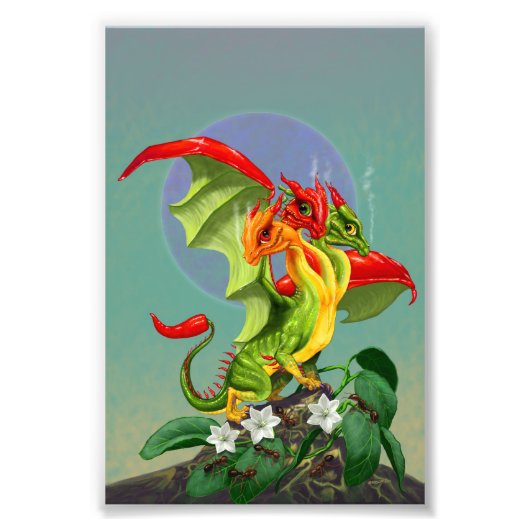 Paprikaschoten Dragon 4x6 Print Fotodruck (Vorne)