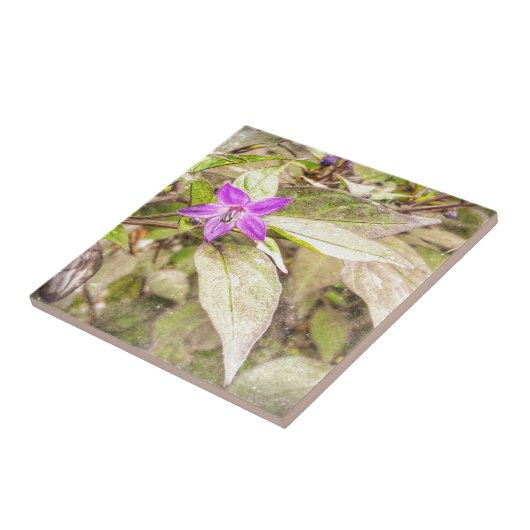 Paprikaschoten Fliese (Seite)