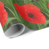 Paprikaschoten Geschenkpapier (Rolleneckpunkt)