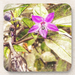 Paprikaschoten Getränkeuntersetzer