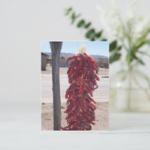 Paprikaschoten mit heißem Chili in Hatch New Mexic Postkarte (Stehend Vorderseite)