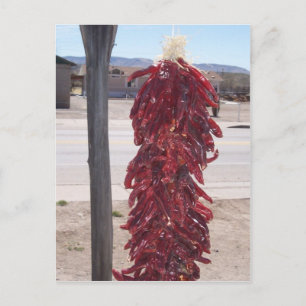 Paprikaschoten mit heißen Chilis in Hatch New Mexi Postkarte