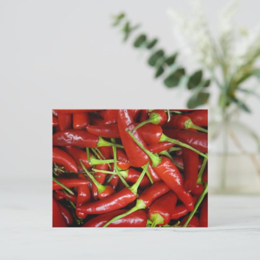 Paprikaschoten mit rotem Chili - Geschenkreichweit Postkarte (Stehend Vorderseite)
