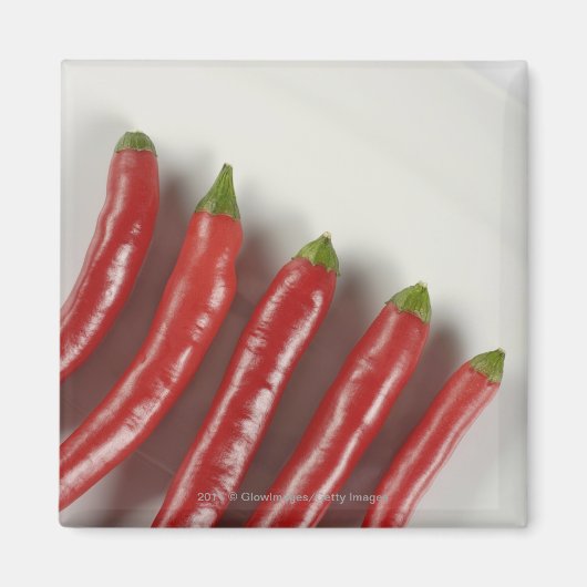 Paprikaschoten mit rotem Chili Magnet (Vorne)