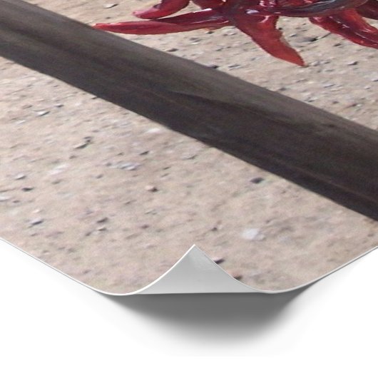 Paprikaschoten Poster (Ecke)