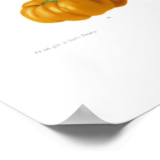 Paprikaschoten Poster (Ecke)