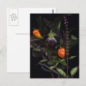 Paprikaschoten Postkarte (Vorne/Hinten)