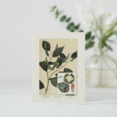 Paprikaschoten Postkarte (Stehend Vorderseite)