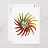 Paprikaschoten Postkarte (Vorne/Hinten)