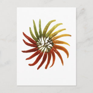 Paprikaschoten Postkarte