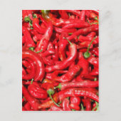 Paprikaschoten Roter Chili im Freien in der Sommer Postkarte (Vorderseite)
