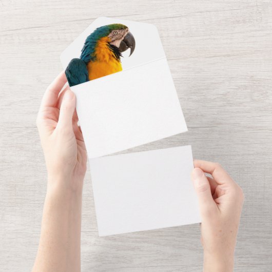Paprot All In One Einladung (Abreißen)