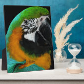 Paprot Fotoplatte (Seite)