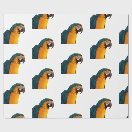 Paprot Geschenkpapier (Flach)