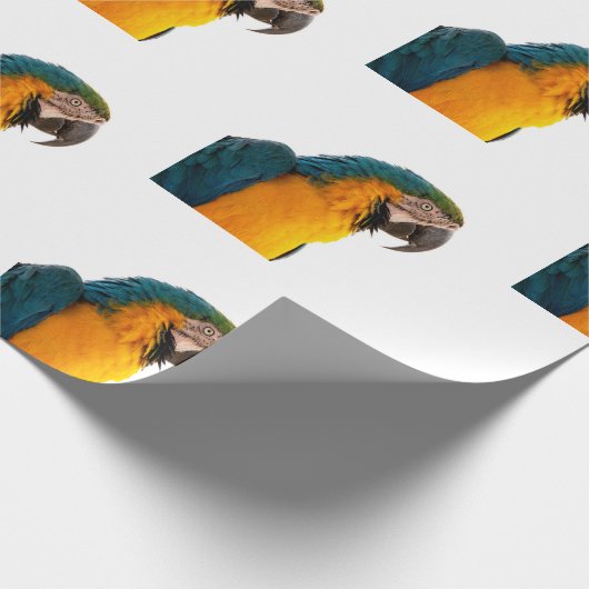 Paprot Geschenkpapier (Ecke)