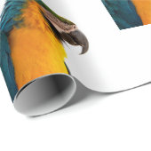 Paprot Geschenkpapier (Rolleneckpunkt)