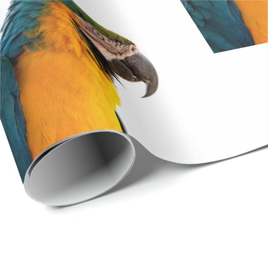 Paprot Geschenkpapier (Rolleneckpunkt)