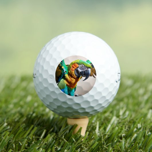 Paprot Golfball (Insitu T-Shirt)