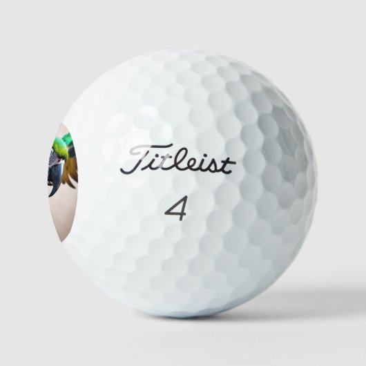Paprot Golfball (Logo)