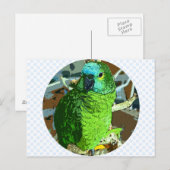 Paprot Green Postkarte (Vorne/Hinten)