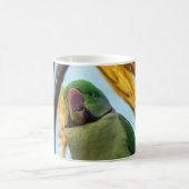 Paprot Kaffeetasse (Mittel)